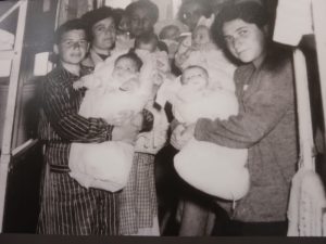 Imagens: Liane Zaidler / Conib